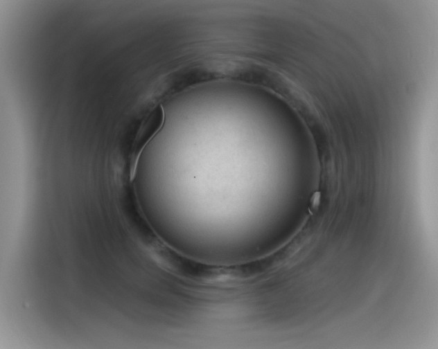 X0000115610750200911171148