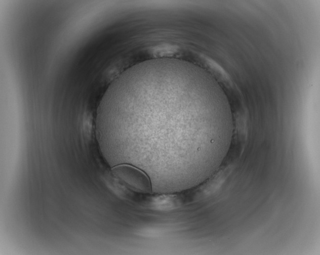 X0000115610761200911171148