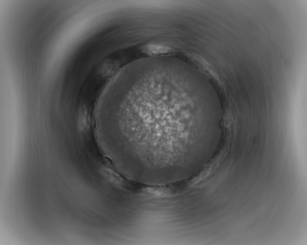X0000115610763200911171148