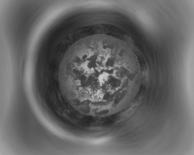 X0000115610765200911171148