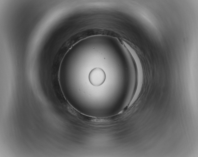 X0000115610766200911171148