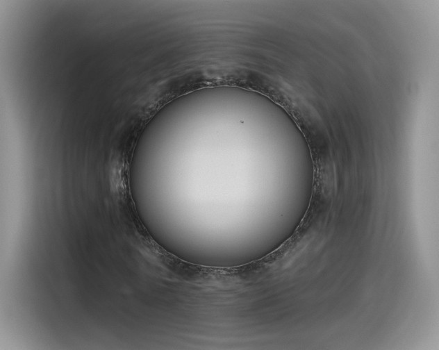X0000115610770200911171147