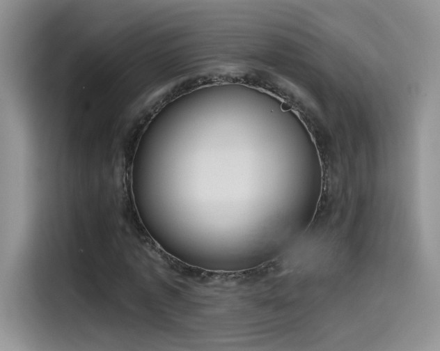 X0000115610773200911171147