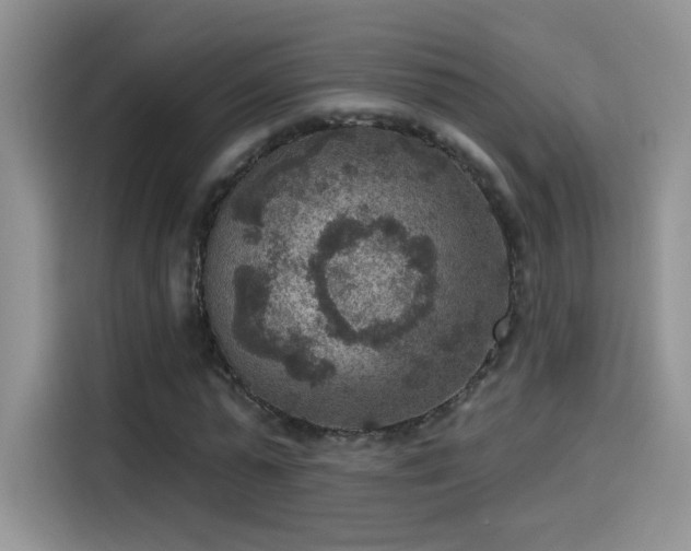 X0000115610775200911171147