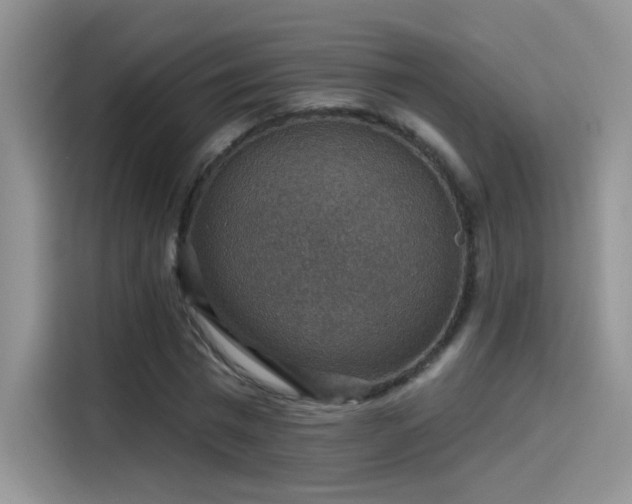 X0000115610777200911171147