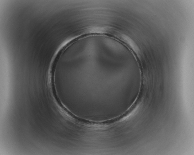 X0000115610779200911171147