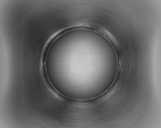 X0000115610780200911171147