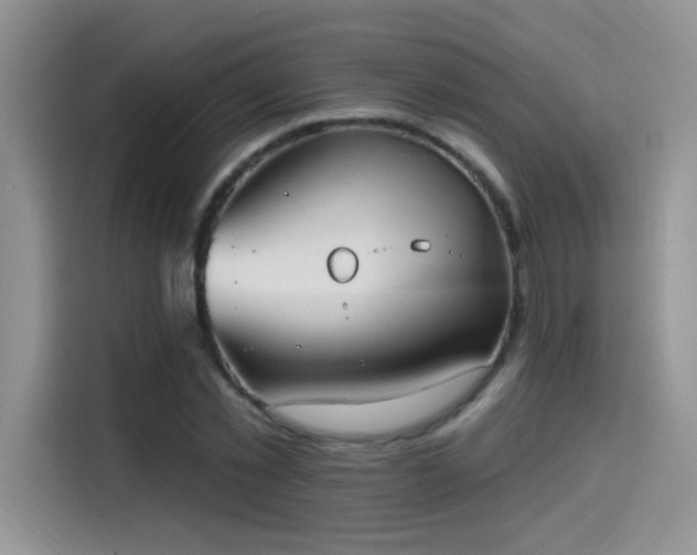 X0000115610781200911171147