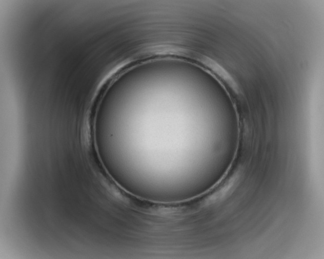 X0000115610782200911171147