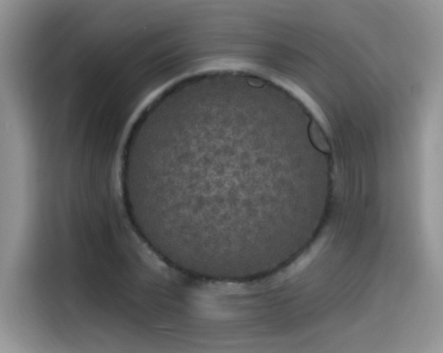 X0000115610783200911171147