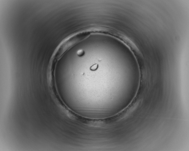X0000115610784200911171147