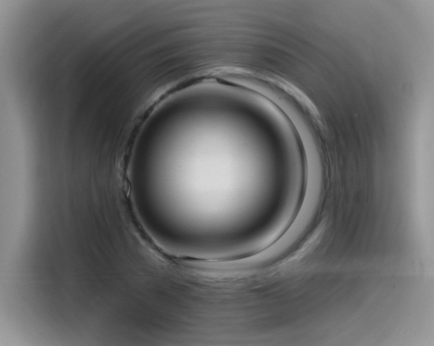 X0000115610785200911171147