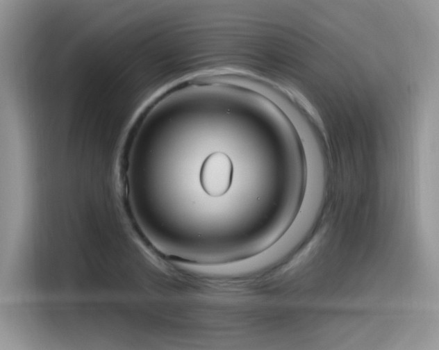 X0000115610789200911171147