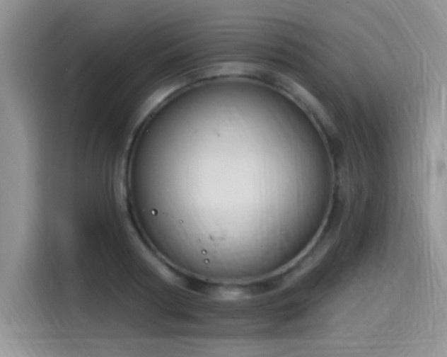 X0000115610794200911171147