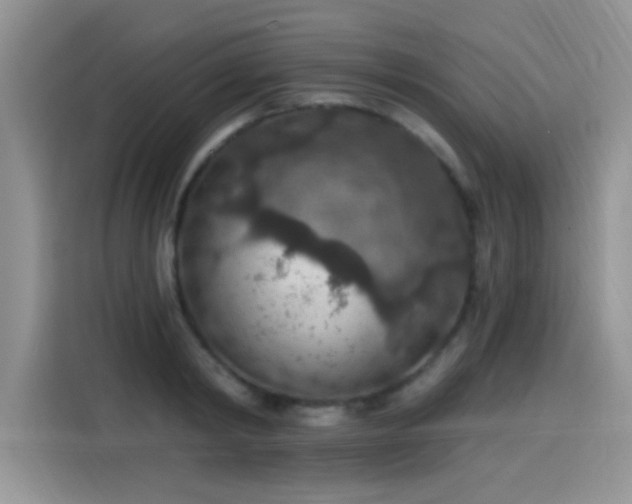 X0000115610798200911171147