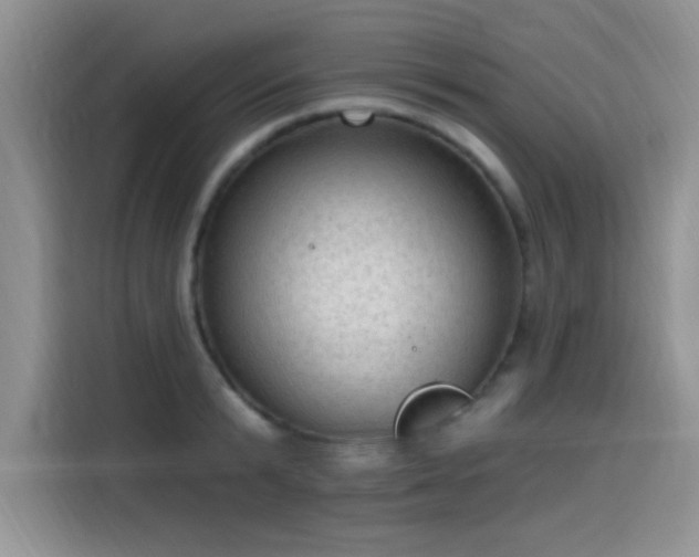 X0000115610799200911171147