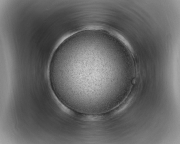 X0000115610803200911171147