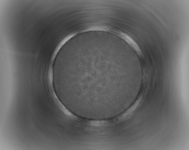 X0000115610804200911171147