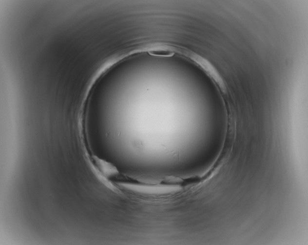 X0000115610805200911171147