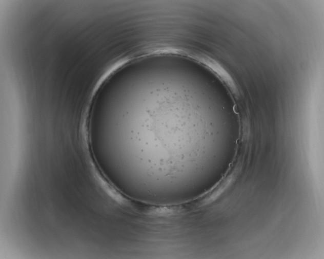 X0000115610806200911171147
