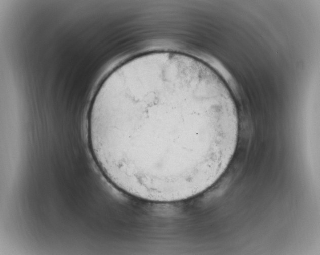 X0000115610807200911171147