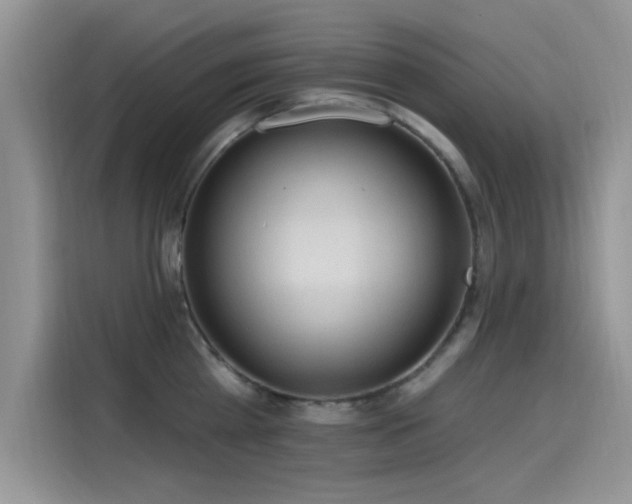 X0000115610809200911171147