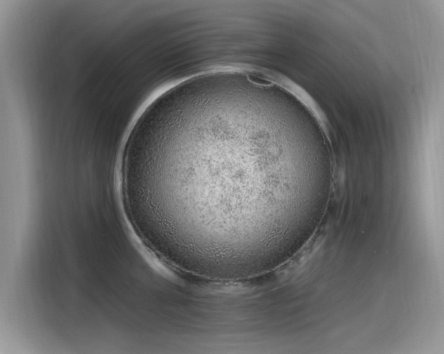 X0000115610811200911171147