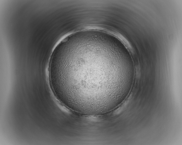 X0000115610814200911171147