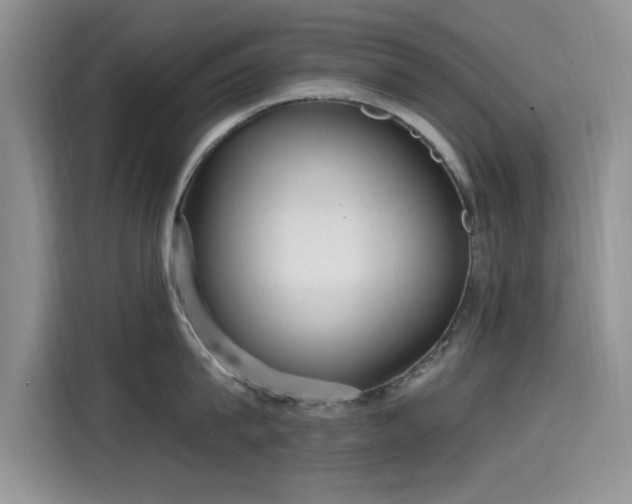 X0000115610815200911171147