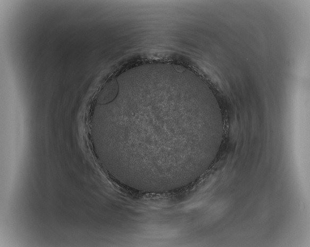 X0000115610817200911171146