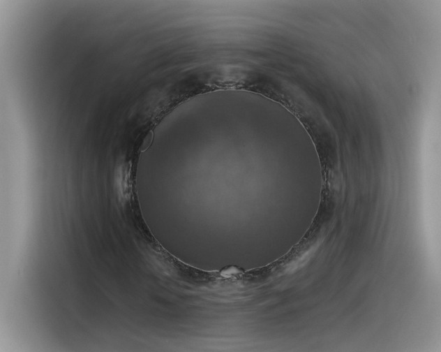 X0000115610818200911171146