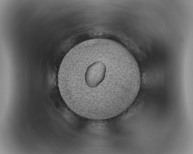 X0000115610820200911171146