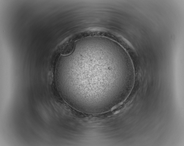 X0000115610821200911171146