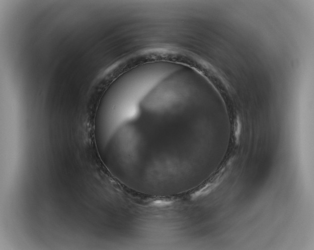X0000115610822200911171146