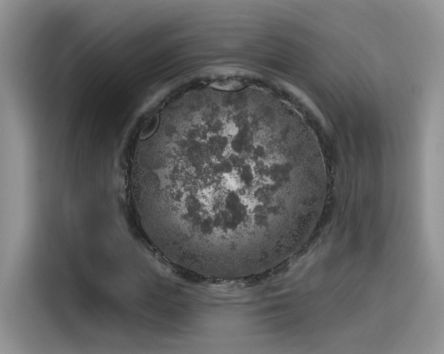 X0000115610823200911171146