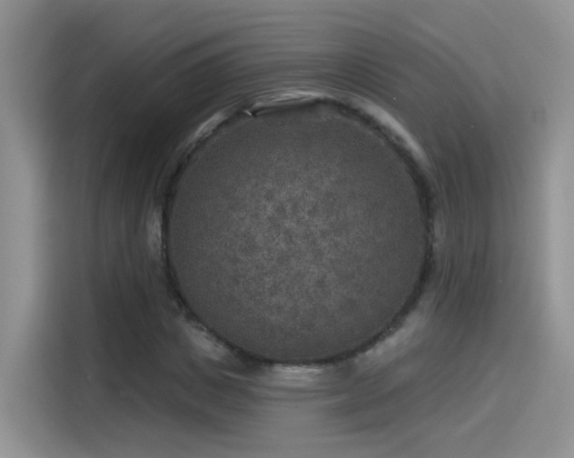 X0000115610825200911171146