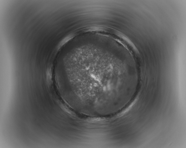 X0000115610826200911171146