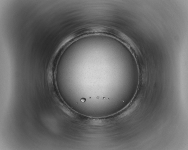 X0000115610827200911171146