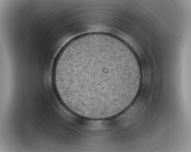X0000115610828200911171146
