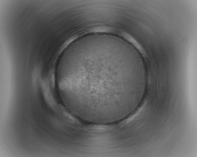 X0000115610829200911171146
