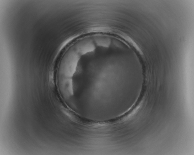 X0000115610830200911171146