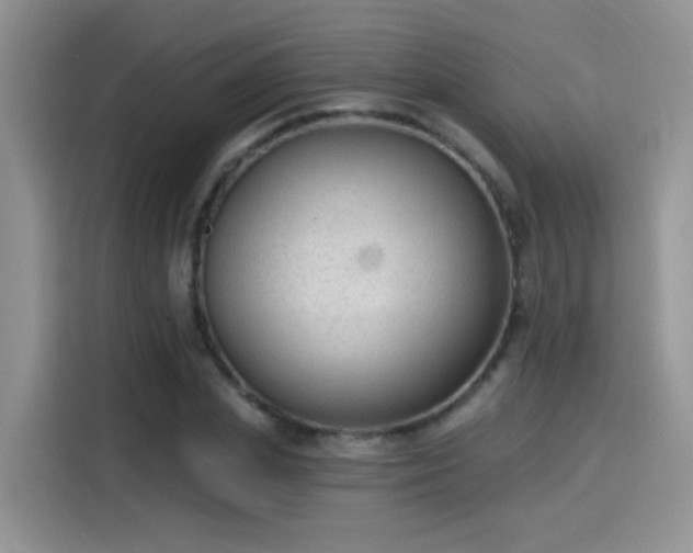 X0000115610831200911171146