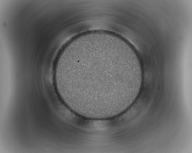 X0000115610832200911171146