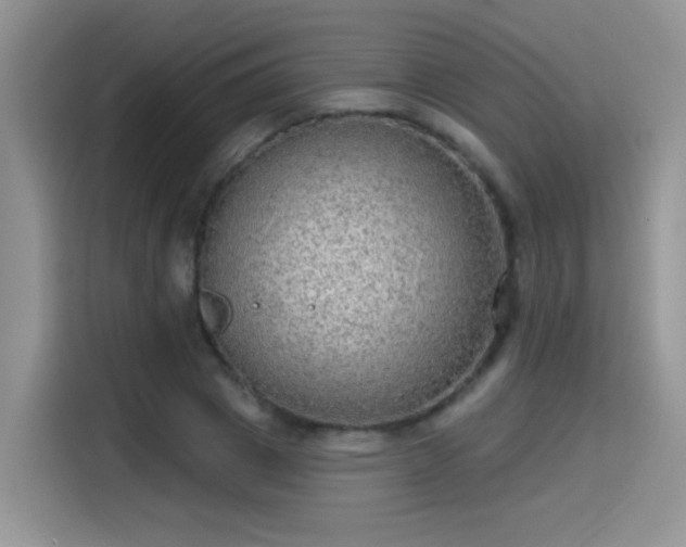 X0000115610833200911171146