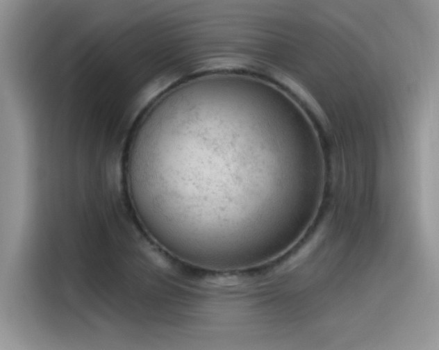 X0000115610834200911171146