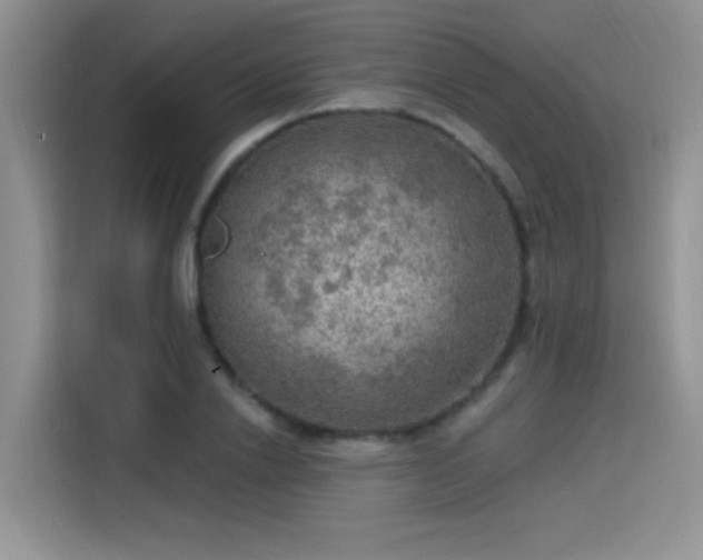 X0000115610838200911171146