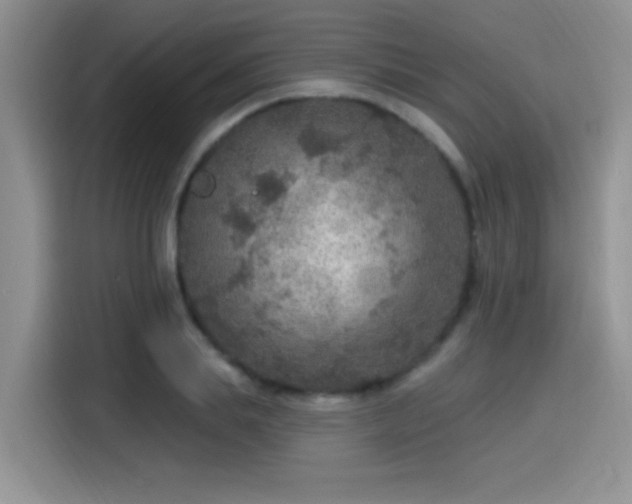 X0000115610839200911171146