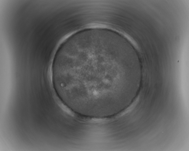 X0000115610840200911171146