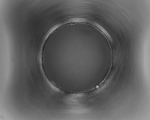 X0000115610853200911171147