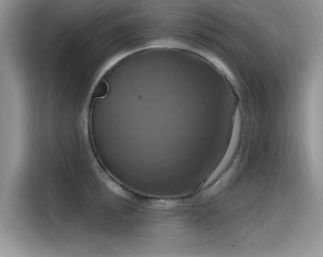 X0000115610854200911171147